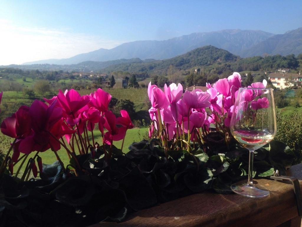 Wine Hotel San Giacomo Activity & Wellness Paderno del Grappa エクステリア 写真