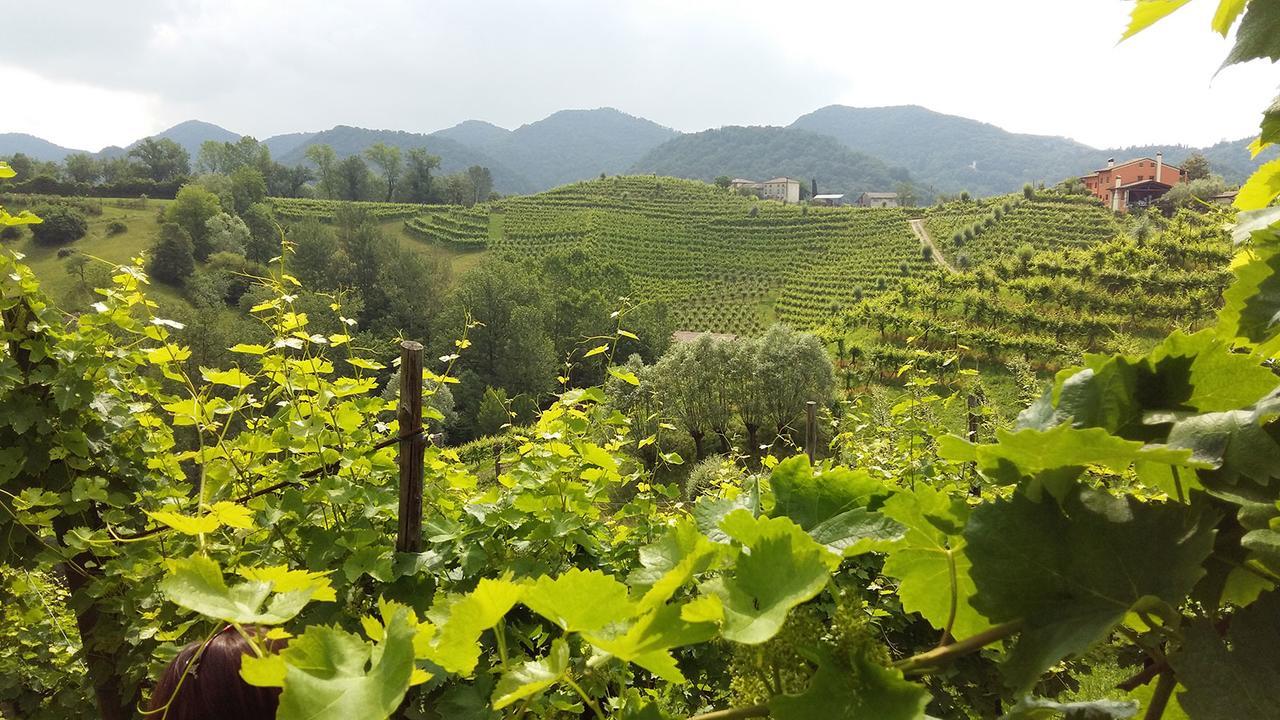 Wine Hotel San Giacomo Activity & Wellness Paderno del Grappa エクステリア 写真